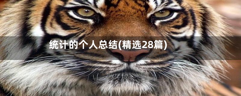 统计的个人总结(精选28篇)