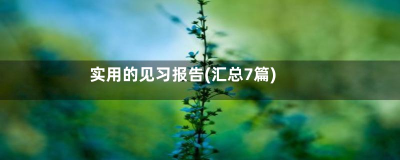 实用的见习报告(汇总7篇)