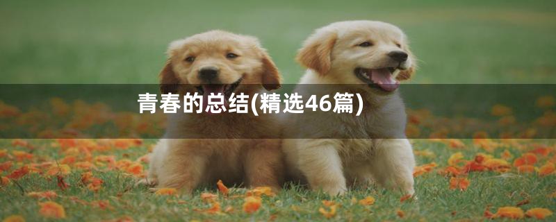 青春的总结(精选46篇)