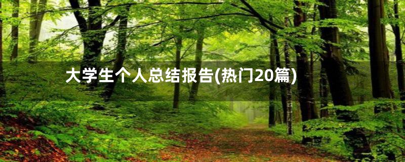 大学生个人总结报告(热门20篇)