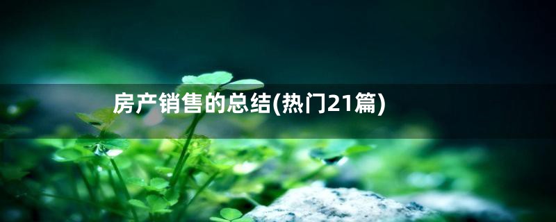 房产销售的总结(热门21篇)