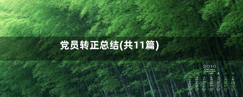 党员转正总结(共11篇)