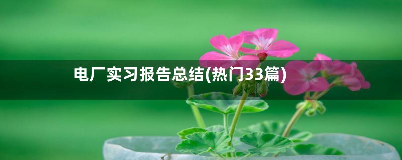 电厂实习报告总结(热门33篇)