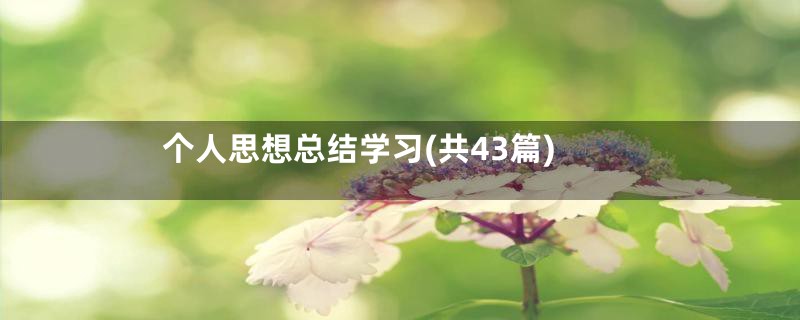个人思想总结学习(共43篇)