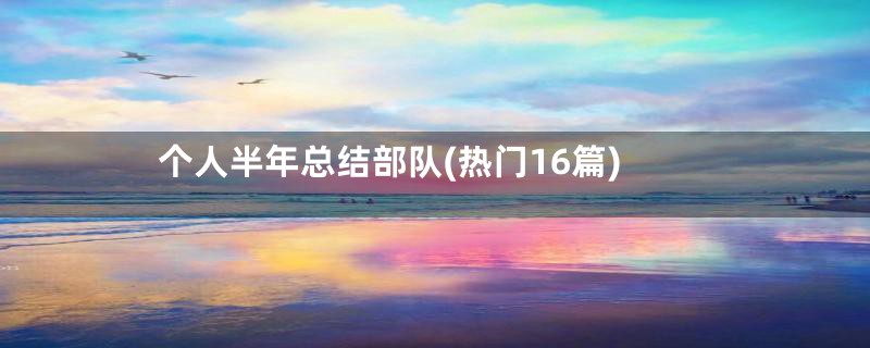个人半年总结部队(热门16篇)