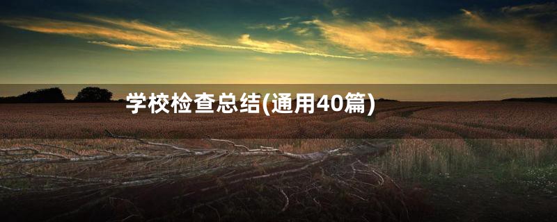 学校检查总结(通用40篇)