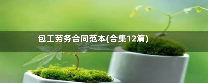 包工劳务合同范本(合集12篇)