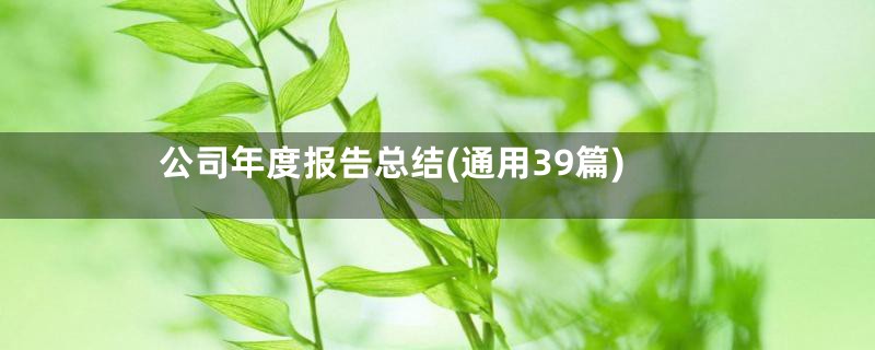 公司年度报告总结(通用39篇)