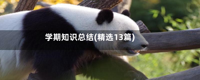学期知识总结(精选13篇)