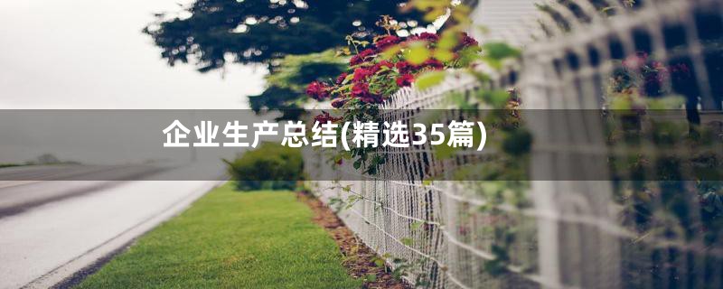 企业生产总结(精选35篇)