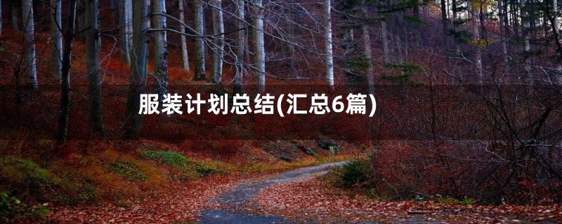 服装计划总结(汇总6篇)