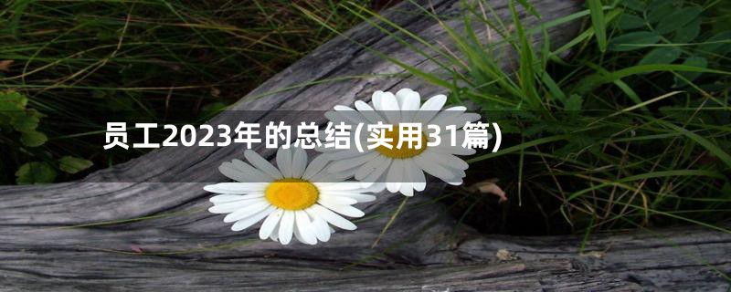 员工2023年的总结(实用31篇)