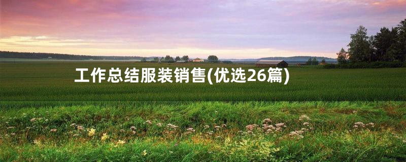 工作总结服装销售(优选26篇)
