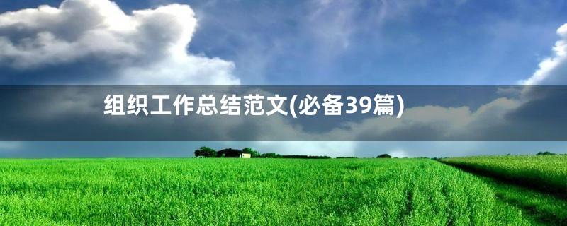 组织工作总结范文(必备39篇)