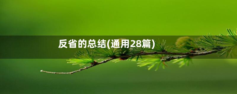 反省的总结(通用28篇)