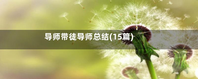导师带徒导师总结(15篇)