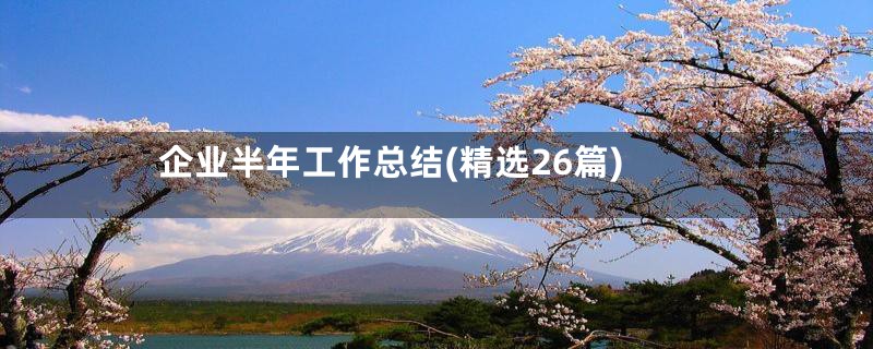 企业半年工作总结(精选26篇)