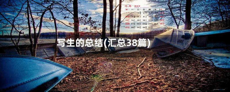 写生的总结(汇总38篇)