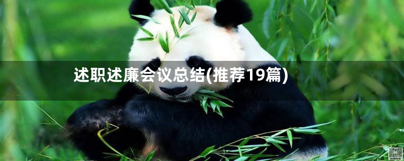 述职述廉会议总结(推荐19篇)
