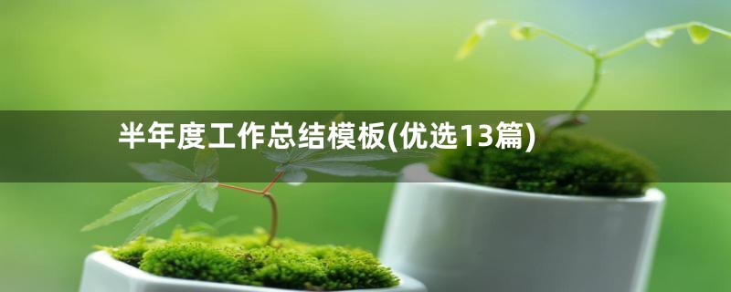 半年度工作总结模板(优选13篇)