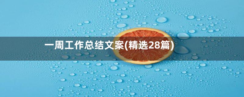 一周工作总结文案(精选28篇)
