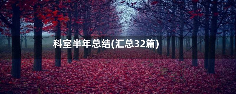 科室半年总结(汇总32篇)