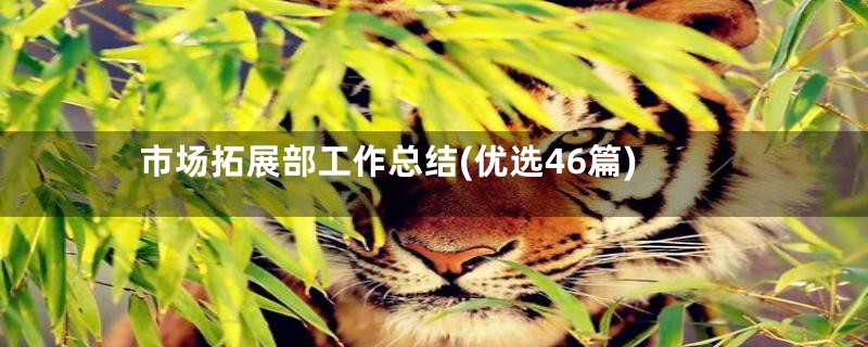 市场拓展部工作总结(优选46篇)