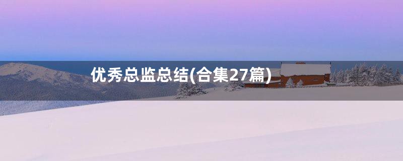 优秀总监总结(合集27篇)