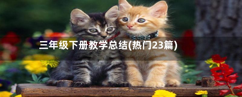 三年级下册教学总结(热门23篇)