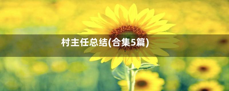 村主任总结(合集5篇)
