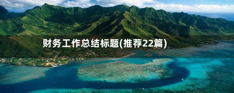 财务工作总结标题(推荐22篇)