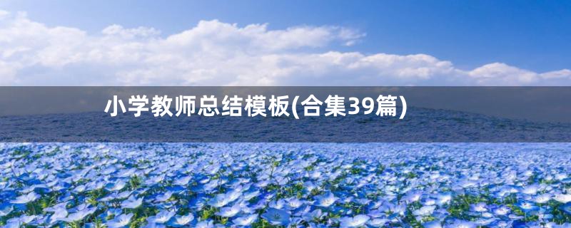 小学教师总结模板(合集39篇)