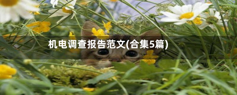 机电调查报告范文(合集5篇)