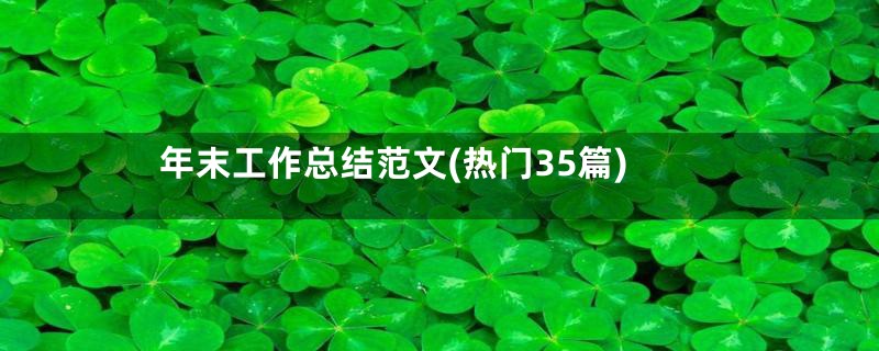 年末工作总结范文(热门35篇)