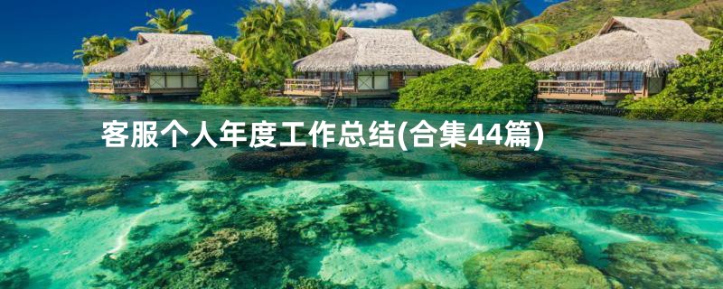 客服个人年度工作总结(合集44篇)