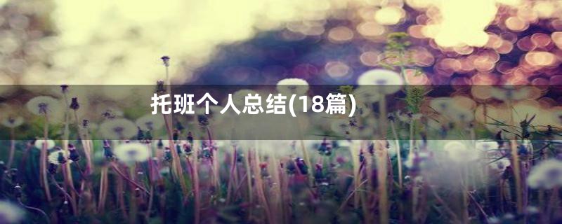 托班个人总结(18篇)