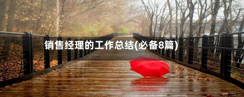 销售经理的工作总结(必备8篇)