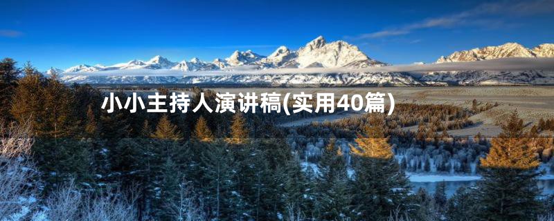 小小主持人演讲稿(实用40篇)