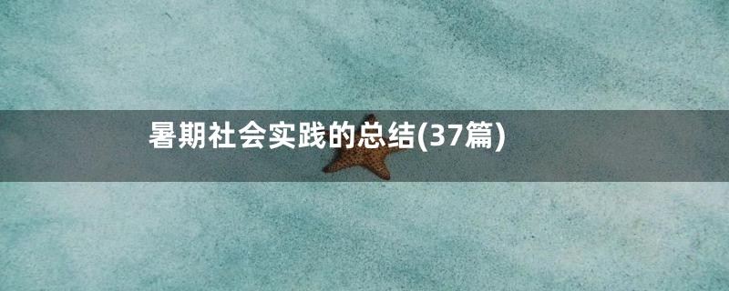 暑期社会实践的总结(37篇)