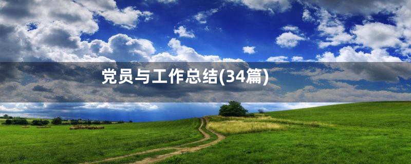 党员与工作总结(34篇)