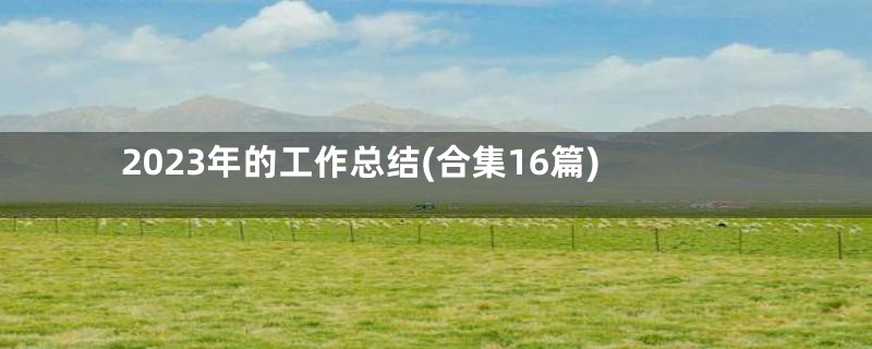 2023年的工作总结(合集16篇)