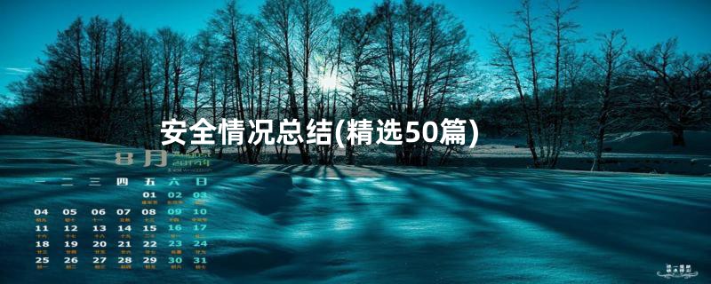 安全情况总结(精选50篇)