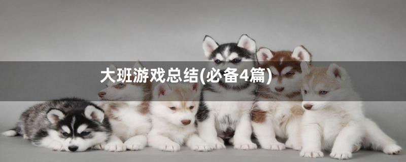 大班游戏总结(必备4篇)
