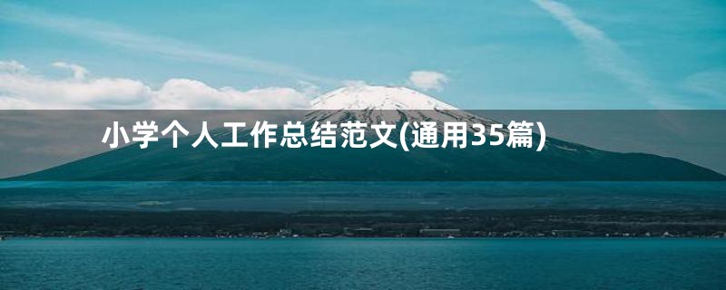 小学个人工作总结范文(通用35篇)