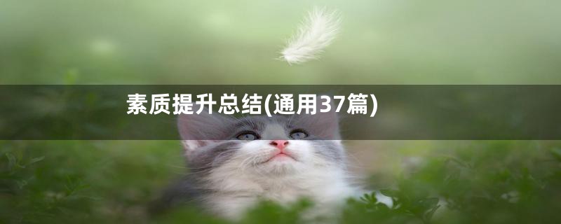 素质提升总结(通用37篇)