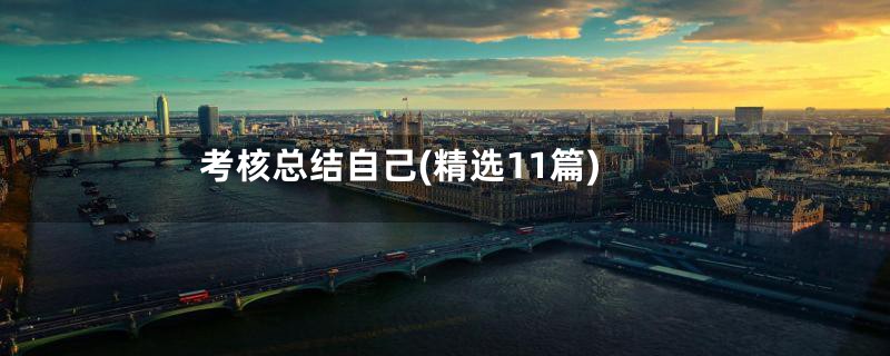 考核总结自己(精选11篇)