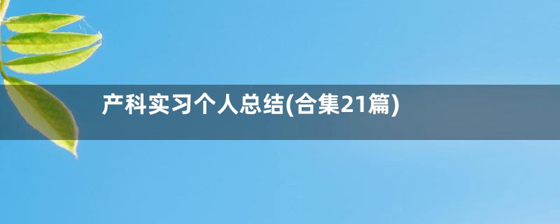 产科实习个人总结(合集21篇)