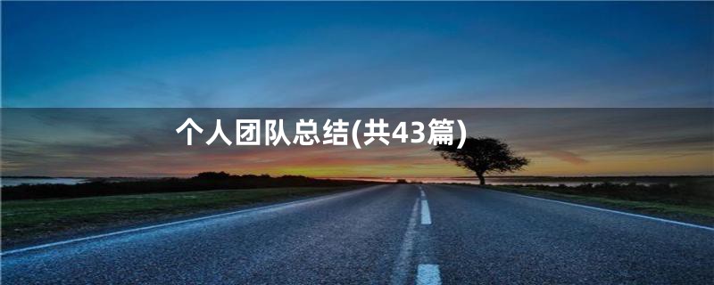 个人团队总结(共43篇)