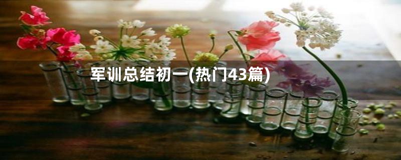 军训总结初一(热门43篇)