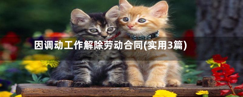 因调动工作解除劳动合同(实用3篇)